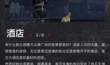 明日最新爆料,最新爆料揭示惊天秘密！